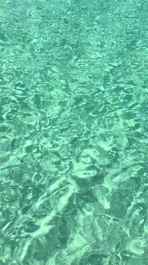 Exploring the Clear Waters of Guanaja