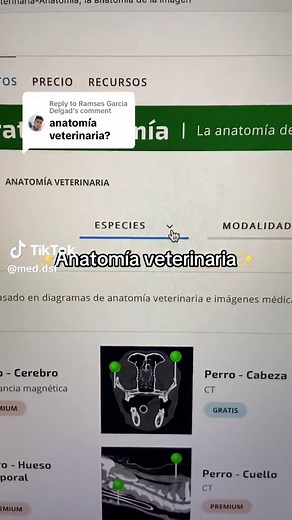 Vet-Anatomy: A Comprehensive Guide to Veterinary Anatomy