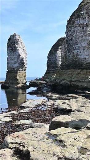 The dramatic cliffs of Flamborough Head - Selwick Bay 🌊 #Shorts