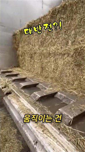 지게차 없이 이게 가능하다고요?