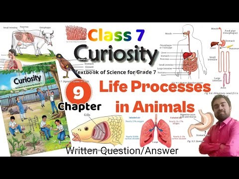 Life processes in animals | Chapter 9 | Class 7 Science | Curiosity | ‎⁨@ATOZSTUDYZ