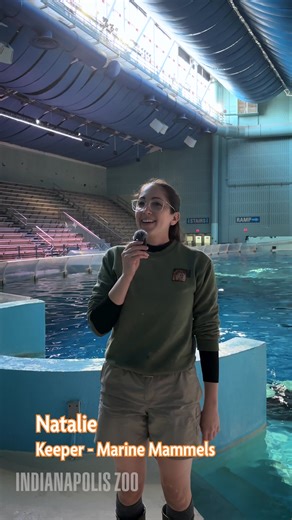 This International Zookeeper day, we're proud to introduce you to a few of the dedicated keepers at the Indianapolis Zoo. Meet Natalie! Natalie works as a trainer of Marine Mammals and she took the time to share some memories of her childhood that led to her career and what she loves about working with the Marine Mammal team. Thank you Natalie and Marine Mammal and Oceans for all the hard work you do! #InternationalZookeeperDay #indianapoliszoo #indianapolis | Indianapolis Zoo
