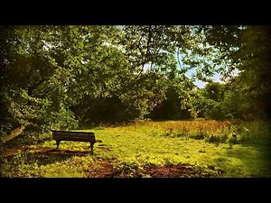 愛のテーマ ＿映画音楽