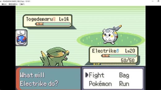 口袋妖怪Run＆Bun A4 117号道路五狗天王