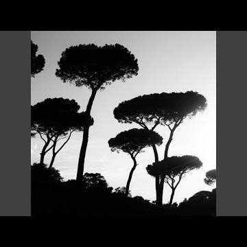 Terjebak di Masa Lalu