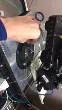 Whole-Cell Patch-Clamp Technique