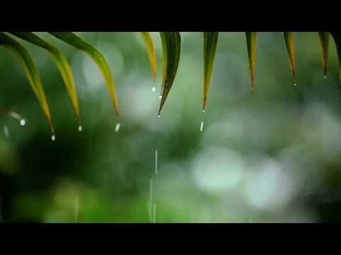 12 Hours (No Ads) Relaxing Sleep Music with Rain Sounds☘ ​Relaxing Piano Music☔Peaceful Water Sounds