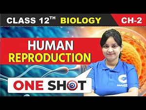 Human Reproduction Chapter 2 | Class 12 Biology | Full Chapter in ONE SHOT