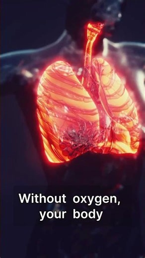 Why Do We Need Oxygen? | Super Simple Explanations