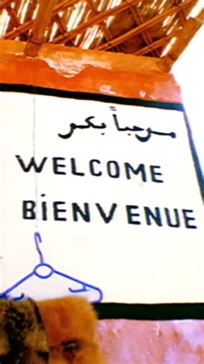 On this day in 1997, Cast released their second album Mother Nature Calls. It featured the singles Guiding Star, Free Me, I'm So Lonely and Live The Dream. What's your favourite track from the record? Listen back here: https://lnk.to/JshQtPp6 | Cast Band