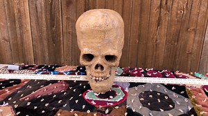 President of the Bigfoot Community Peter Caine exaims the only known skull of a female Sasquatch | Peter Caine Dog Training