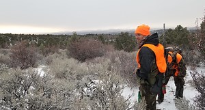 Real Life Review: Asolo Fugitive Boots