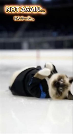 Triple Toe Loop… and then I ate ice 🤦‍♂️⛸️｜トリプル挑戦→着地で転倒