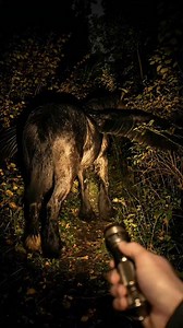 1.5M views · 38K reactions | I Found a King Pegasus Hiding ⁉️⚡濾 #fblifestyle #reel #reels #fbpro #pegasus #unicorn #black #wing #king #beauty #wonderful #aivideo #baby #viral #fyp #wildlife #everyone #post #new #fake | Dio David | Facebook