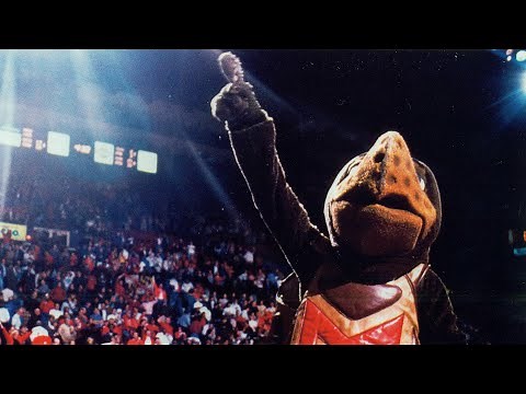 Maryland's Beloved Mascot: Testudo Through the Ages