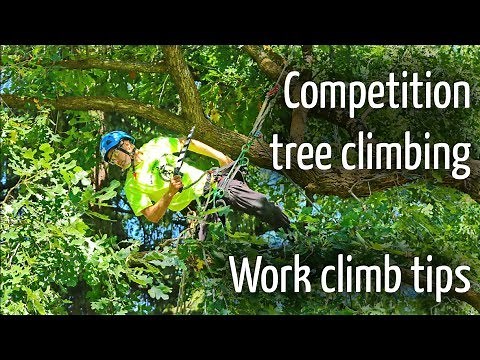 Competition tree climbing tips : Work Climb