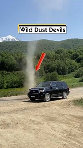 Wild Dust Devils | McClure Kids