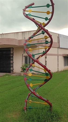 3D DNA structure in science park sastri nagar jaipur