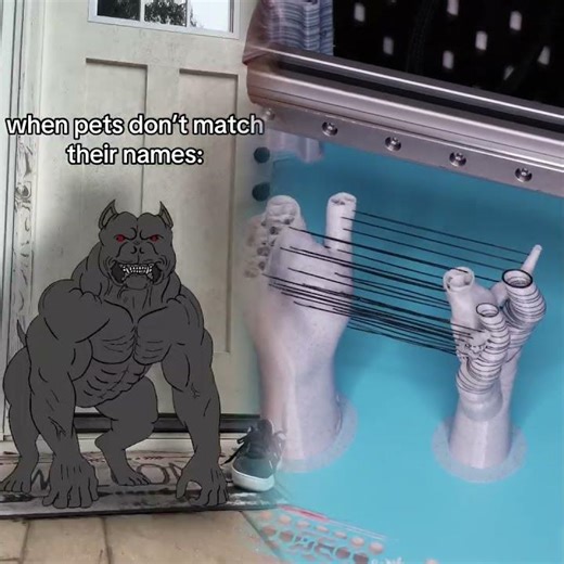 the scary dogs always have the cutest names 😭 fake everything, this is just acting and editing ##fy