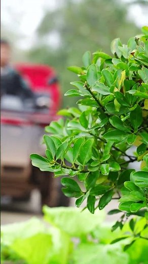 Discover the Best Farm ATVs for 2025! Power, Performance & Affordability 🚜💥