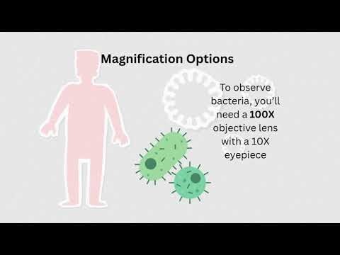 Common Physics Terms in Microscopy Explained | Microscope Practical – Lesson 2