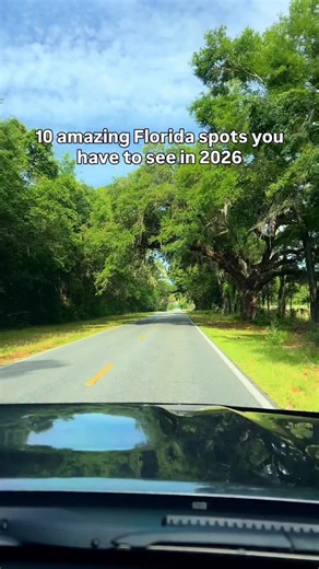 Kishia | Florida Travel on Instagram: "Looking for things to do in Florida? 👀 This spot (plus 1,000+ more) is in my Florida Travel Guide + Interactive Map perfect for weekend getaways, road trips, and exploring without hours of research and stress! 💬 Comment “GUIDE” and I’ll send it to you! 📅 January – Lost Spring Lake 📍 8045 NW Gainesville Rd, Ocala, FL 34475 💧 Start the year with crystal-clear waters, hidden cliffs, and serene beauty in this secret spring-fed lake. 📅 February – Whitney B