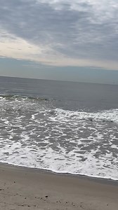 25K views · 4.1K reactions | Chronicles of a beachbunny! <3 | Peg Streep | Facebook