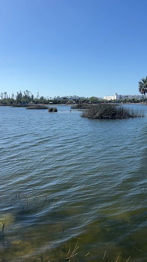 21K views · 173 reactions | The biggest bird I’ve ever seen #birds #animals #nature #reels | Leon & LaCongo | Facebook