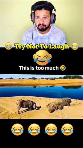 Tumko Dar Nahi Lag Raha Kya 😂🤣 #shorts #funny #memes #viral #trending #nobatidao