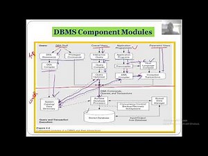 10 The Database System Environment