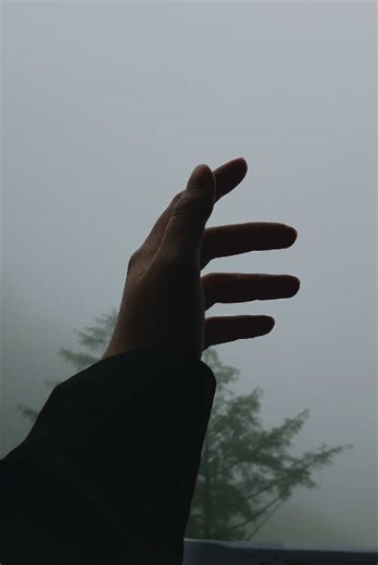 暗い場所での儚い雰囲気の自然景色