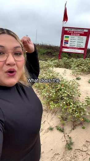 Understanding Beach Flag Meanings: Red, Purple, and More Explained