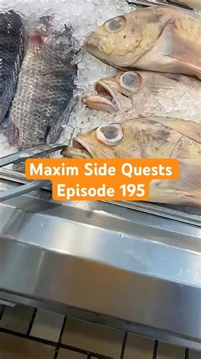 Max playing with her food #cute #pets #funny #matercat