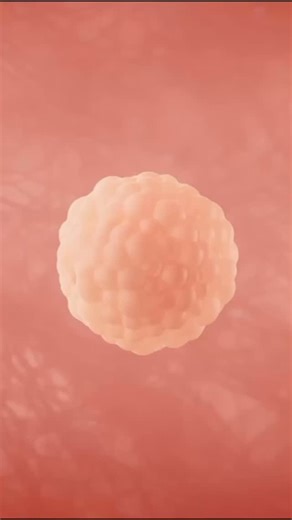 408 reactions · 114 shares | Be amazed: modern medicine and science tell us more about the development of each human being from fertilization to birth than ever before. | SBA Pro-Life America | Facebook