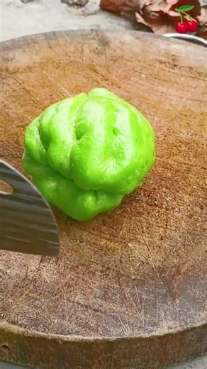 Sk 2869 mini rotary tillage and ridging one one tree short view #travel #beach #flowers