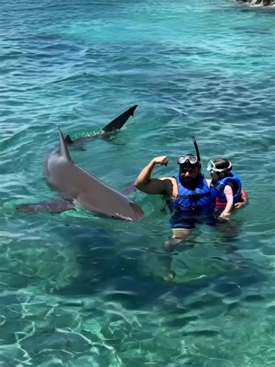 The time that shark almost got us 👀 #shark #sharktank #sharkattack | shark