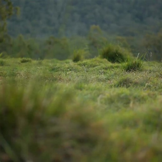 Check Out Our Weed Wiper Bundle Deals. Got any questions? Feel free to call and have a yarn on 1300 326 453. | Ag Superstore