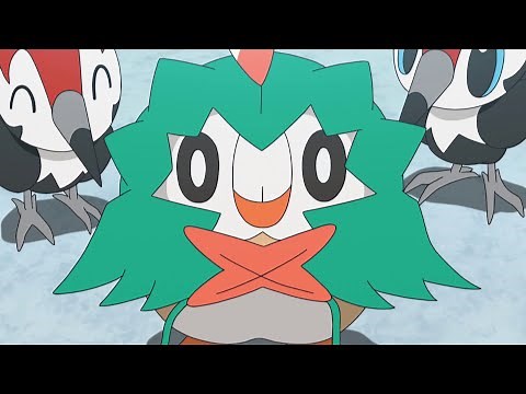 Rowlet in Training | Pokémon the Series: Sun & Moon—Ultra Legends | Official Clip