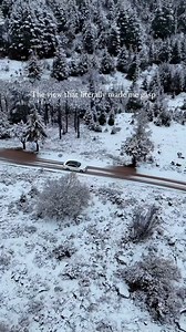 The view that literally made me gasp 😍 Credits to @alidaher89 #lebanon #chouf #choufreserve #explorer #kingdom #mykingdom #breath #explore | Eyes of Lebanon