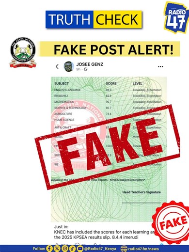 Debunking the 8-4-4 Education System Rumors in Kenya