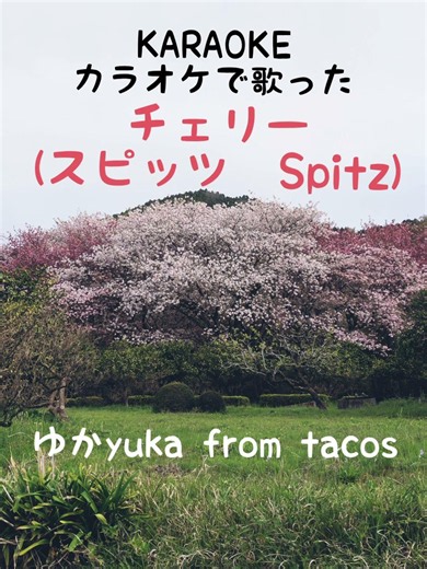 カラオケで歌った チェリー (スピッツ) #歌ってみた #spits #karaoke
