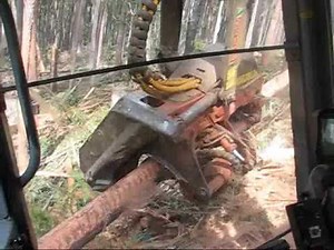 Logging in Australia