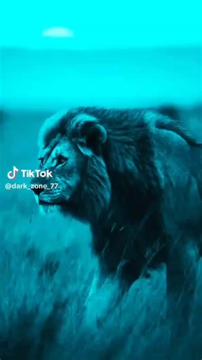 Piet Ramoshai (@pietramoshai)’s videos with original sound - Dark Zone