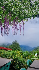 9K views · 120 reactions | Message us for Booking & Inquiries | Valleypoint Campsite | Facebook