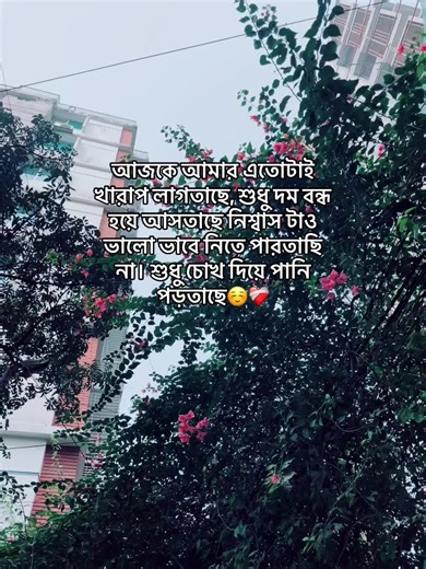 Emotional Struggles: Feeling Overwhelmed Today