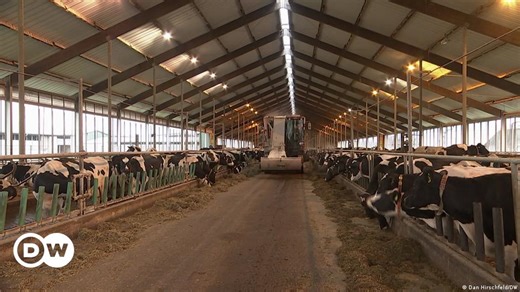 German farmers are feeling the squeeze