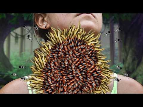 ASMR Neck Care Animation | ASMR Neck Massage With Relaxation