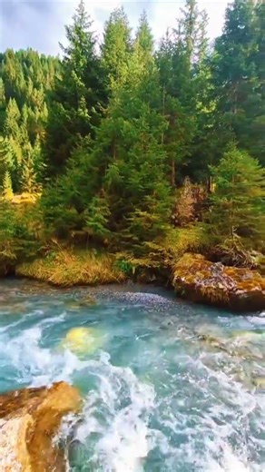 Peaceful Swiss Stream Flowing Through Alpine Nature