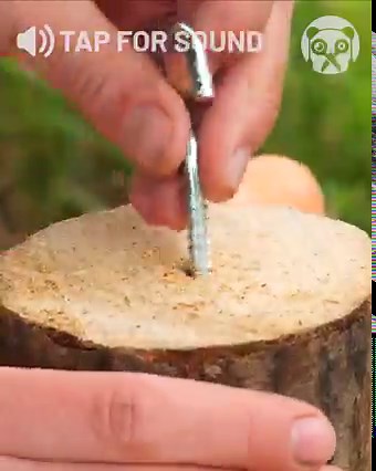 Genius Ideas for Feeding Farm Animals | Crafty Panda