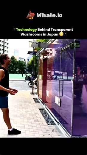 Education || history || technology on Instagram: "Transparent public washrooms in Japan use polymer dispersed liquid crystal smart glass. When the toilet is unoccupied, an electric current passes through the glass, aligning the liquid crystal particles and making it clear so you can see if the stall is clean and empty. When the door is locked, the current stops, the particles scatter light, and the glass turns opaque to give full privacy even during a power failure. These toilets are part of the